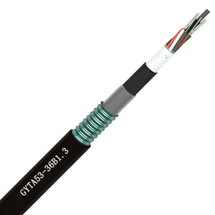 GYTA53 Communication Optical Cable 12-core Twisted Double Armor Dual Sheathed Optical Cable Metal Reinforced Core Fiber Cable