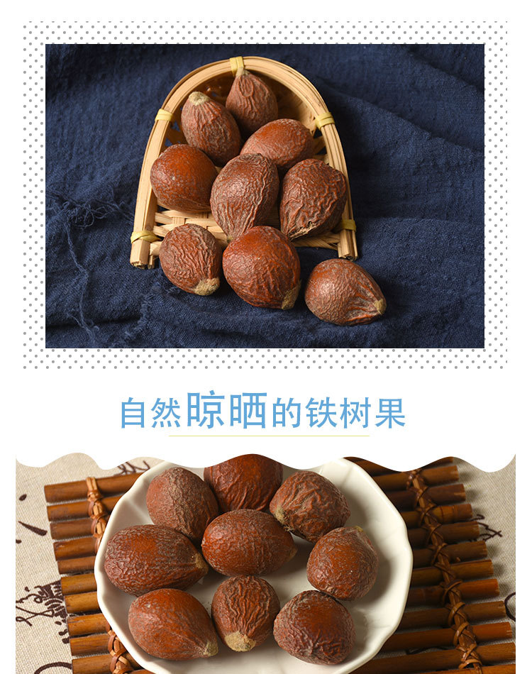 Tie Shu Guo (Cycas revoluta Seeds) — Dried Sago Palm Fruit, 500g Herbal Supply specifications