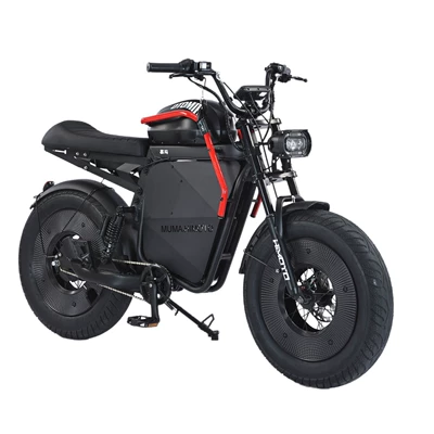 electric bicycle, wide-wheel | Elektrikli motosikletlər
