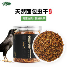 面包虫干鸟食鸟用八哥鹩哥画眉百灵芦丁鸡饲料鸟粮食虫子跨境出口