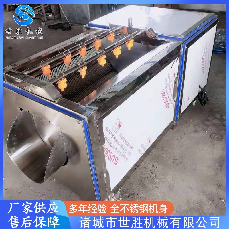 供应根茎类毛刷清洗机 全自动毛辊清洗机设备 海蛎子毛刷清洗机