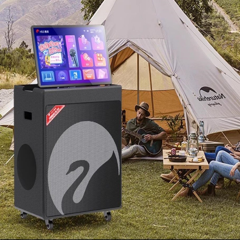 Hivi Ms52 Video Audio High-Quality Heavy Bass Home Outdoor Mobile Karaoke Live Broadcast Bluetooth Audio