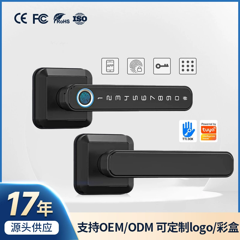 New home anti -theft door fingerprint lock electric graffiti indoor bedroom handle password lock Bluetooth through Bluetooth