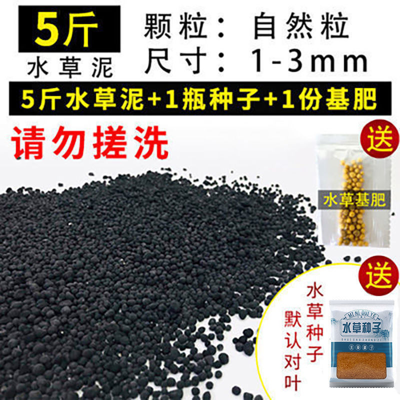 嘘援娉ユ壒鍙戙€愪笉舞枃丸瀀耣ャ€戦櫠绮掔戞枸shoulder a few搴琴爞更曟曟曘昘棌绠 argue