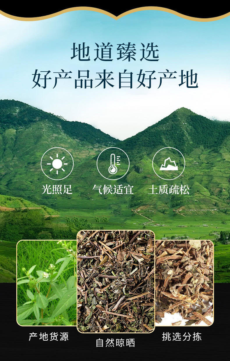 Mo Han Lian (Eclipta prostrata) — Dried Yerbadetajo Herb, Food-Herb Botanical for Tea & Soup overview