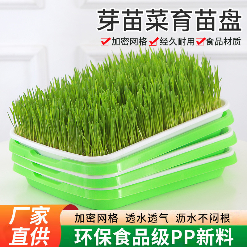 豆芽发芽神器盘家用无土栽培水培小麦苗种植盘芽苗菜育苗专用盆批|undefined