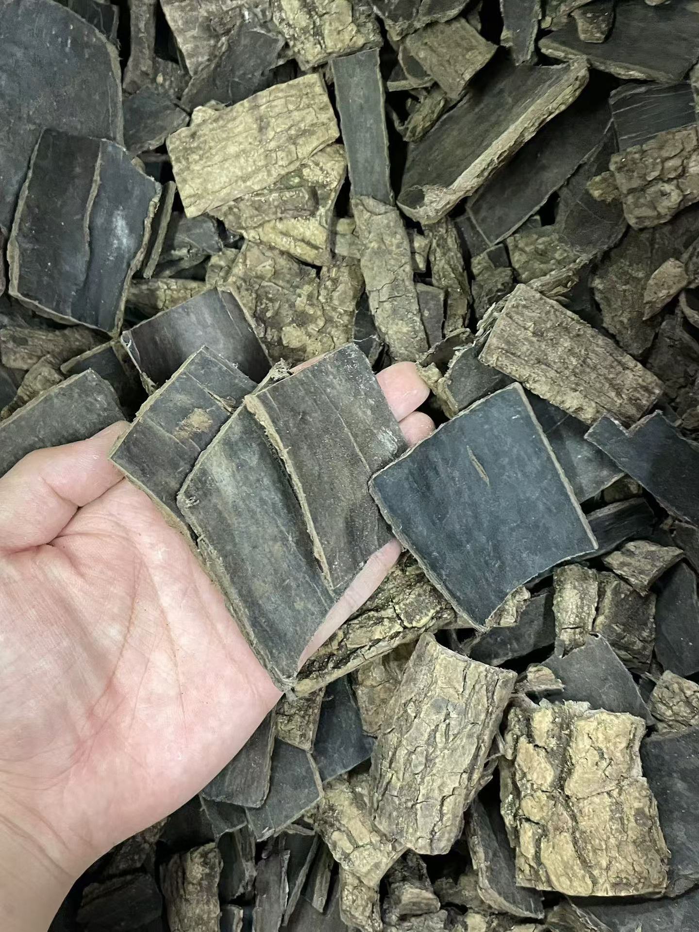 Dried Eucommia Bark Slices Du Zhong 500g Selected Grade for Traditional Herbal Decoction and Soup key features
