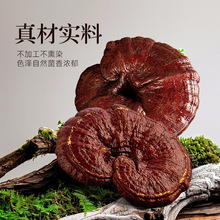 批发长白山赤灵芝整朵切片灵芝片东北特产可煮茶泡酒炖汤产地直销