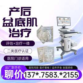 妇科产康 产后康复治疗仪产后理疗综合治疗机 产后康复综合治疗仪