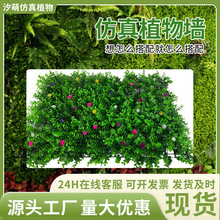 ֲ Gֲ ϼٲƺT^҃bֲﻨmƤ