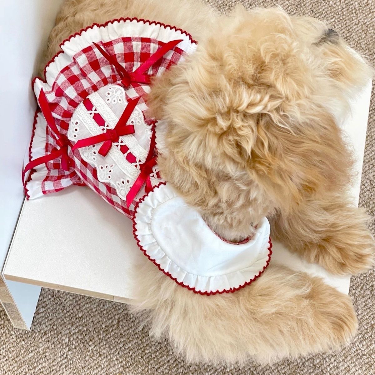 Dog And Cat Spring, Summer, Autumn Thin Plaid Dress, Small Dog Clothing, Bichon Vintage Shirt Dress_voghion.com