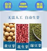 全數控豆芽機 山東豆芽機廠家 可定制豆芽機 仿手工豆芽機器 價格
