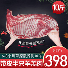 ��ţ���x ��Ƥ��ֻ��10���������r�F���������ȉK������t��ʳ��