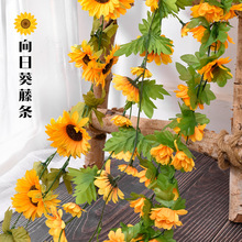 ���տ����滨�����Ҿӵ�픿��{���ړ��b����l