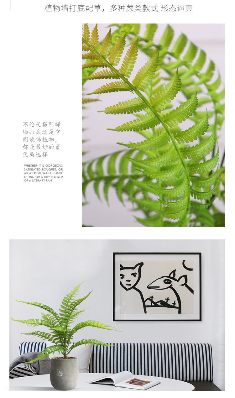 绿墙打底草_05.jpg