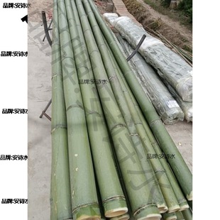Ethnic Dance Bamboo Poles, Bamboo Poles for Dancing, Primary School Students Use for Dancing, Kindergarten Dance Bamboo Poles, Bamboo Pole Props, Bamboo Poles