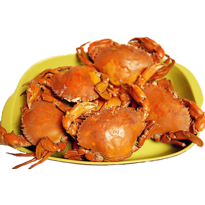 蟹必剥三门青蟹红膏母蟹鲜活一斤装母红鲟海鲜螃蟹礼盒食用水产|ru