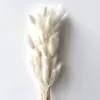 A bunch of 60 white rabbit tails