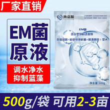 EM菌免激活免活化水产养殖用鱼虾调水净水改底肥水降氨氮菌种工厂