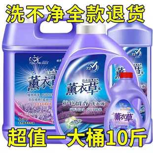 Laundry Liquid 0.50 kg-5.00 kg Lavender Laundry Liquid Fragrance Lasting Fragrance Deep Cleansing White Brightening Decontamination Wholesale