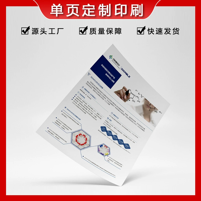 Печать плакатов-флаеров, однополосная цветная страница, печать высокой четкости, визитная карточка, открытие выставки, рекламный плакат по подбору персонала, индивидуальная настройка