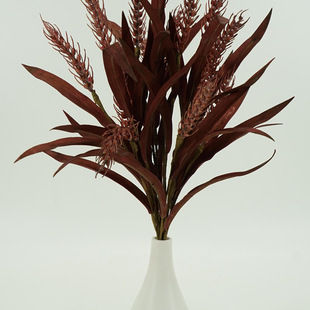 ��������ٵ��ȴ���ٻ��҃��b�С������@�L�S�������Ĕz����