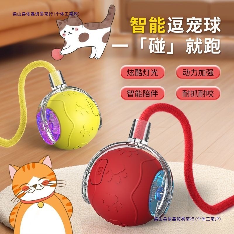 自动遛猫逗狗充电式溜溜球运动宠物玩具小猫小狗解闷逗猫咪球
