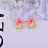 Fruit resin, accessory, pendant, earrings, ice cream, wholesale