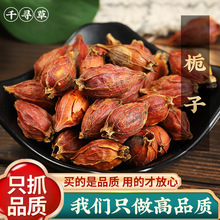 野山栀子茶栀子果泡茶新货大果红栀子干食用黄栀子500g包邮真货好