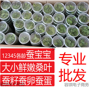 �Q����ɣ�~ι�Q���r�Q���g��Ȼ���߲ʌW���B�Q���b���Q�O