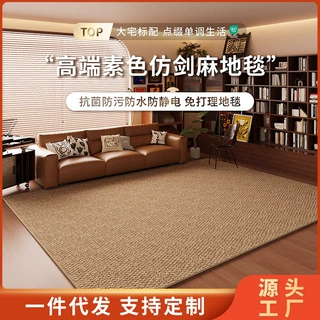 2026新款仿剑麻地毯客厅免洗沙发茶几毯侘寂卧室床边毯中古风地垫