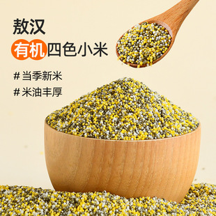 �ЙC��ɫС�׃��ɹŰ��hС������s�Z��GС��С�S�׽M��������