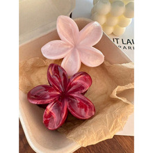 �羳���Q����l Hair Claws �Ƽtɫ�u׃����������l�Q����