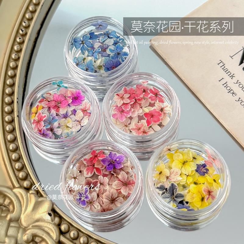 Nail Art Dried Flower Mixed Materials Monet Garden Mini Five-Petal Flower Materials Small Floral Fragments DIY Nail Decorations 20 Pieces
