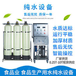 反渗透水处理设备纯水机食品生产用水超纯水仪0.5吨天津厂家C3