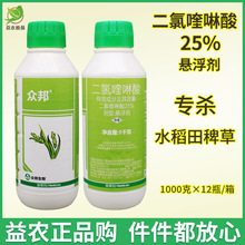 众邦 二氯喹啉酸25%悬浮剂水稻田除草剂稗草除草剂青稗草坪除草剂