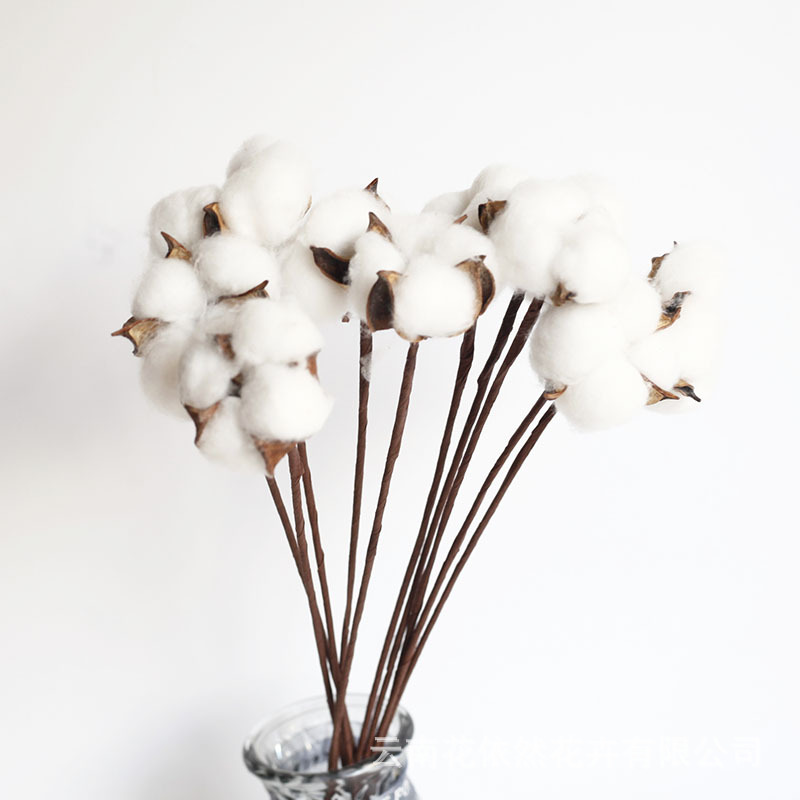 Flor seca Flor eterna Gypsophila Bola de oro No me olvides Flor seca Rosa hoja de eucalipto Pine Fruit Lover Grass al por mayor