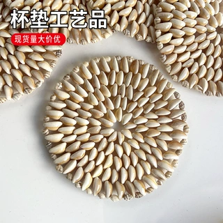 天然海螺金环宝螺杯垫碗垫盘垫家居布置特色工艺品手工装饰品摆件