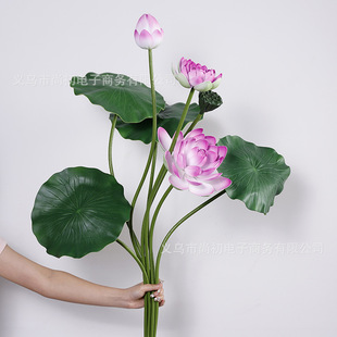 �羳����ɻ�ɏ����~ɏ����ǰ������ʽ��@�L�����b��S��ֱ��