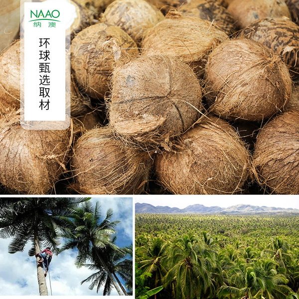 coconut oil