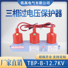 ����10KV��ѹ���ʽ����ѹ������TBP-A/B/C-12.7/131����/������