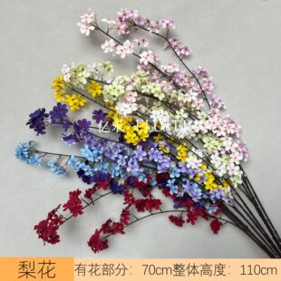 ���洹���滨 ��c�b��쾰�ٻ���Ʒ�|�������l���Ŀ�ʽ