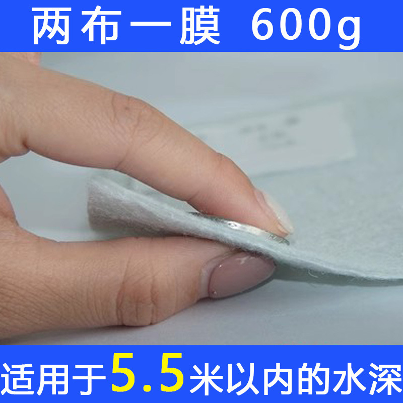 複合ジオメンブレン、引張、老化防止、浸透防止膜、魚池、魚池、貯水池、河川防水、護岸、漏洩防止|undefined