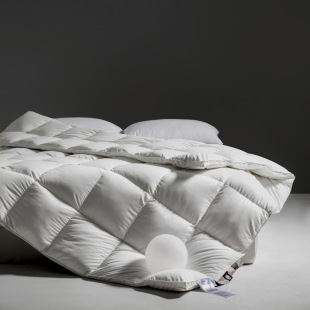 2024 New Soft Sisi White Duck down Quilt White Goose down Autumn and Winter Thickened Warm Quilt Core