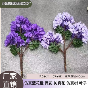 �����{��麼ٻ��廨�b�����϶��㻨֦ͥԺ�Gֲ���滨�����쾰