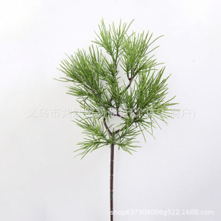 ���� �Gֲ����ֲ�����֦�~���Rβ�ɺ���ӭ���ɼҾ��̈����P�[��