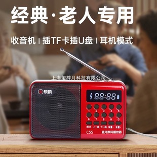 ����������C���ˌ���2025�¿��S�� ���ŏV������C������ ��C