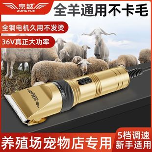 Electric Wool Clipper, Goat Electric Clipper, German High-Power Sheep Shaving Pet Shearing Tool