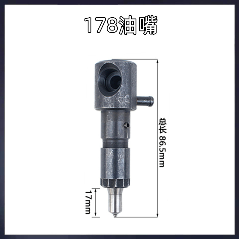 Conjunto de boquilla de bomba de inyección de combustible de accesorios de Sierpe diesel refrigerado por aire 173F178F186FA192F195 inyector de combustible