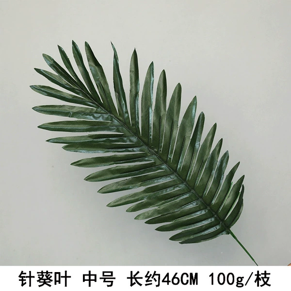 Needle Leaf Medium